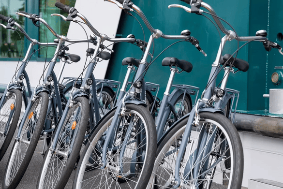 Amadeus River Cruises, Bike Rental 2.png